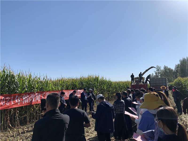 临泽县农业农村局召开2021年粮改饲工作青贮技术现场培训暨项目推进会议