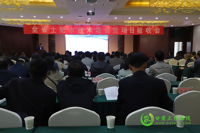 麦积区因地制宜确保新建水肥一体化技术得到实效