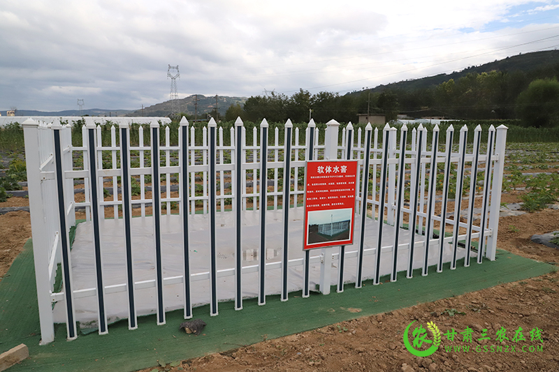 麦积区因地制宜确保新建水肥一体化技术得到实效