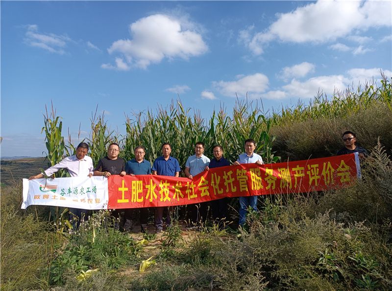 谷丰源农工场邀请专家举行秦州区玉米土肥水技术社会化托管服务测产评价会