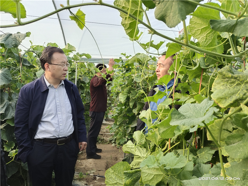 省农业农村厅考察组来瓜州考察第十三批省级农业产业化重点龙头企业创建工作