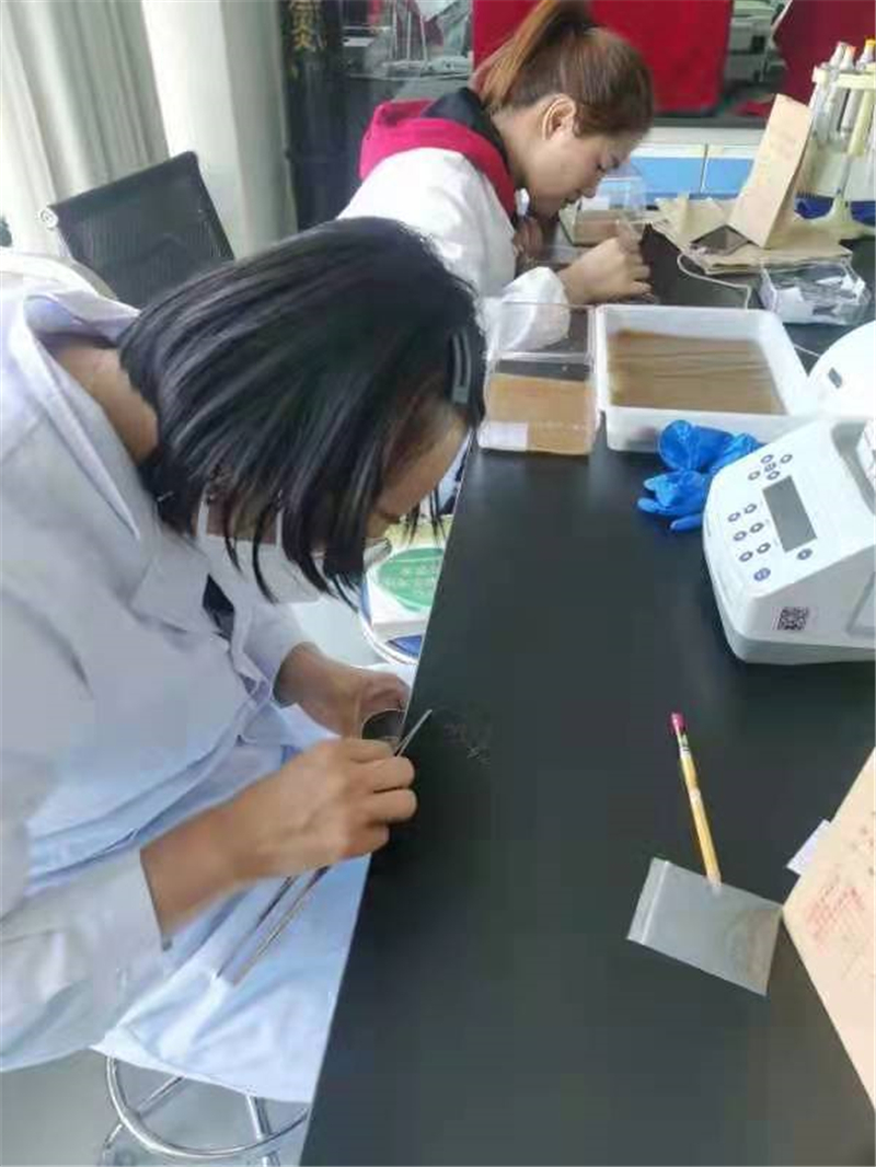 临泽县持续提升种子质量检验检测能力