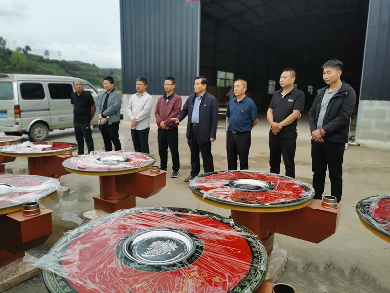 徽县能环办党支部开展“我为群众办实事”主题党日活动