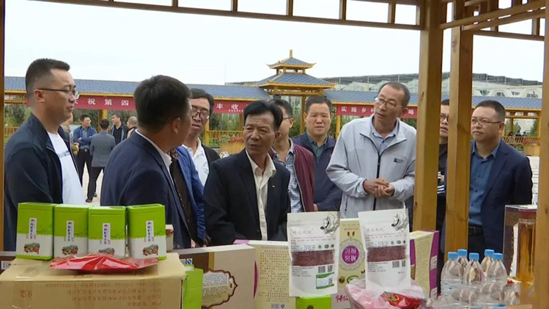 靖远县开展农民丰收节活动