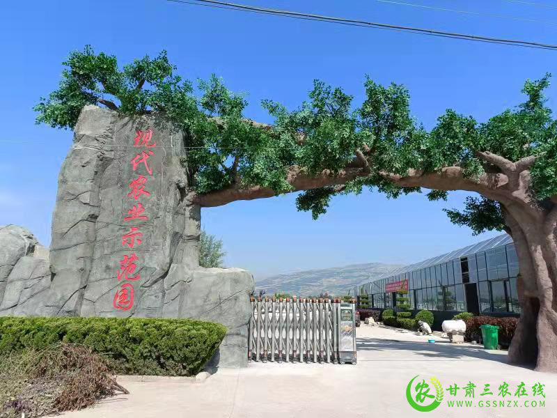 甘谷县加快现代农业示范园改建 推动蔬菜产业高质量发展