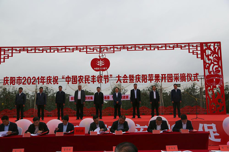 庆阳市举行庆祝2021年“中国农民丰收节”大会暨庆阳苹果开园采摘仪式