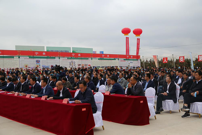 庆阳市举行庆祝2021年“中国农民丰收节”大会暨庆阳苹果开园采摘仪式