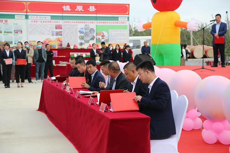 庆阳市举行庆祝2021年“中国农民丰收节”大会暨庆阳苹果开园采摘仪式