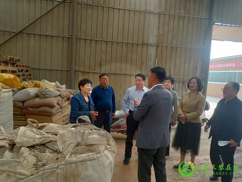 永登县人大常委会执法检查组检查永登县《土壤污染防治法》实施情况