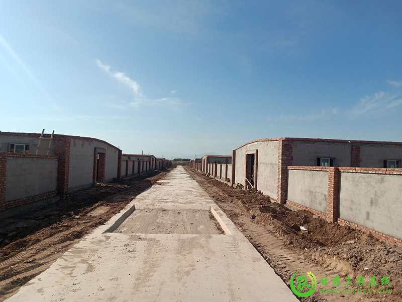 临泽县：全力以赴加快养殖场区建设进度