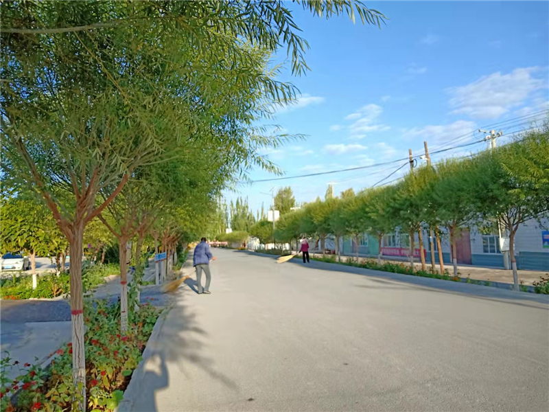 瓜州：组组通 拓宽乡村振兴路