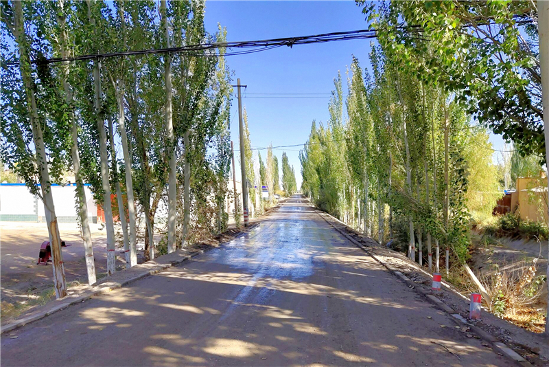 瓜州：组组通 拓宽乡村振兴路