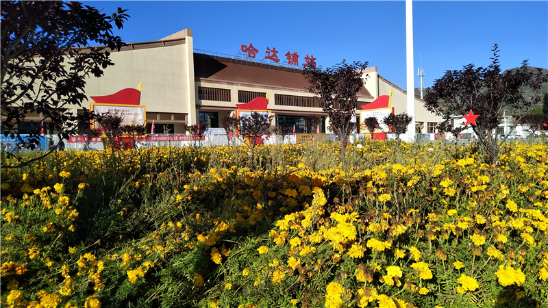 宕昌：垃圾不落地 乡村更美丽