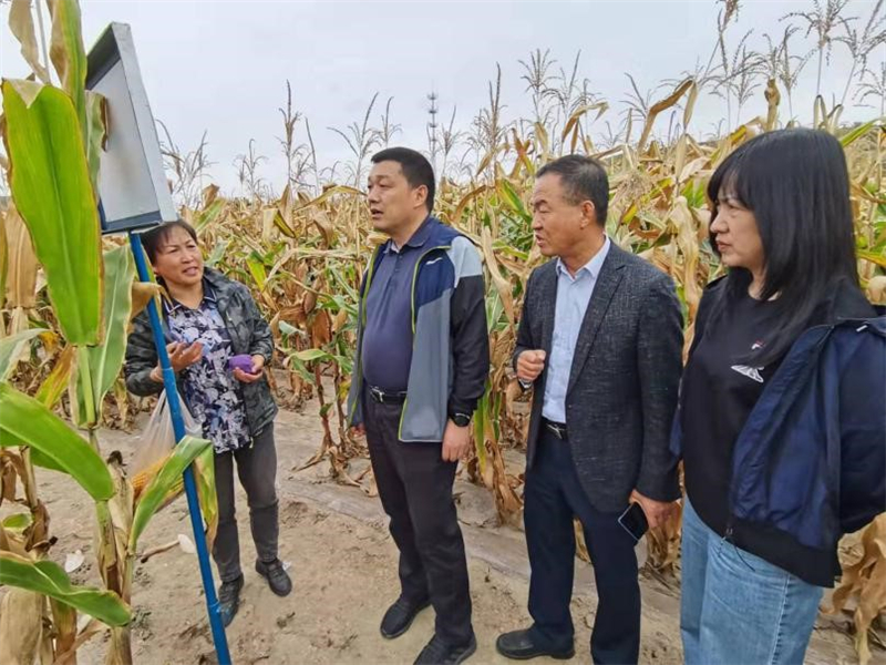 省科技厅调研指导全生物降解渗水地膜试验示范工作