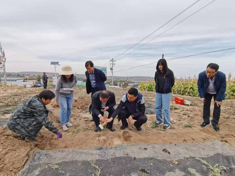 省科技厅调研指导全生物降解渗水地膜试验示范工作