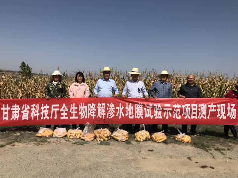 省科技厅调研指导全生物降解渗水地膜试验示范工作