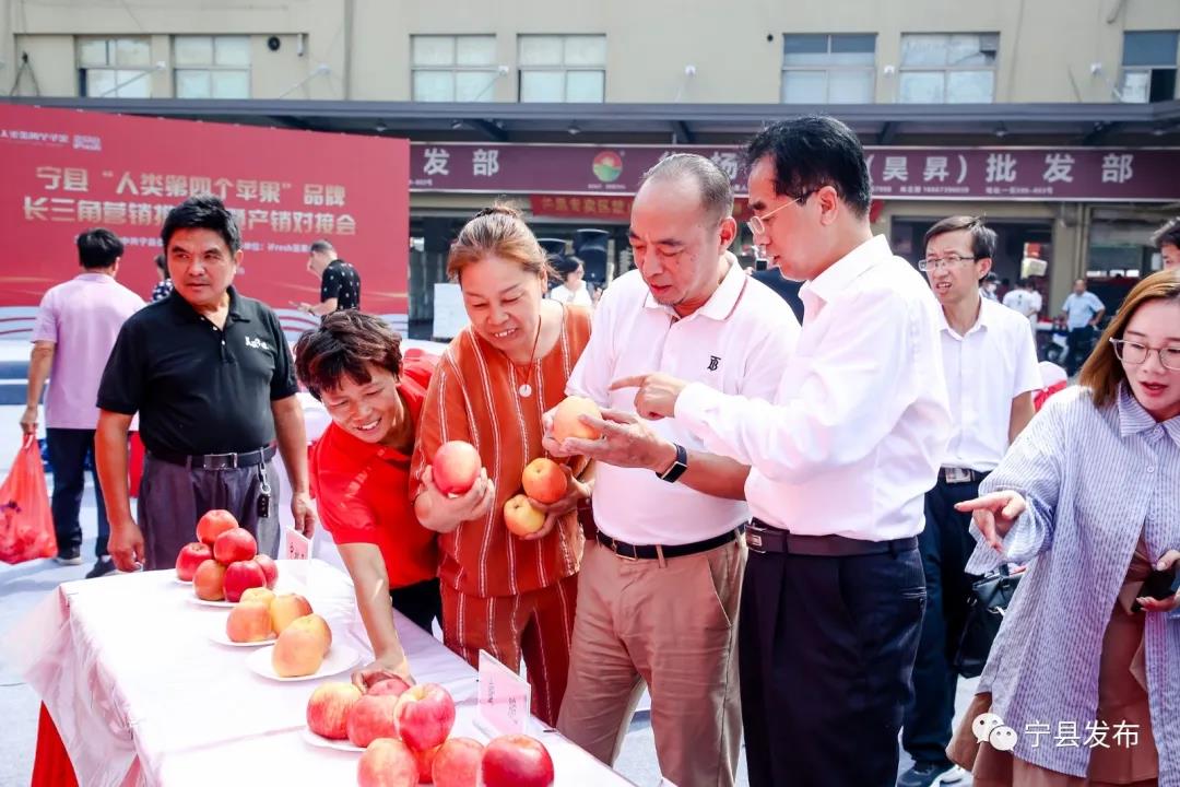 宁县“人类第四个苹果”品牌长三角营销推介会暨产销对接会在浙江嘉兴水果市场举办