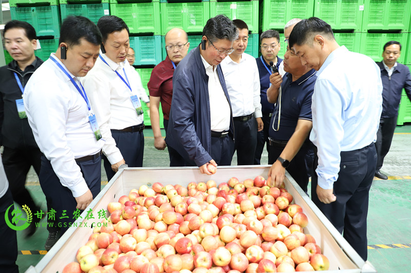 李旺泽出席中国苹果首届产销峰会暨甘肃（平凉）果品贸易大会