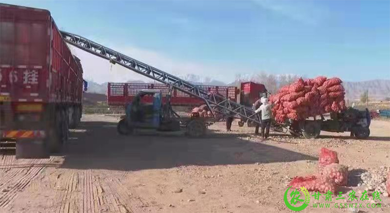 318民乐县2.jpg