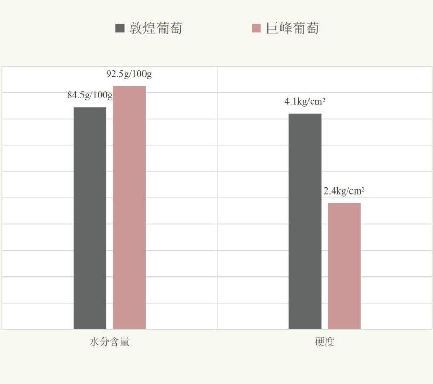 敦煌葡萄