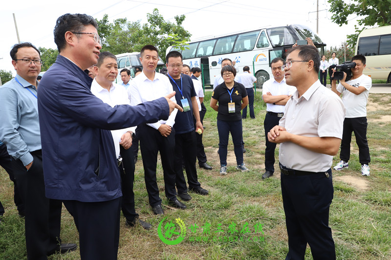 宁县“人类第四个苹果”