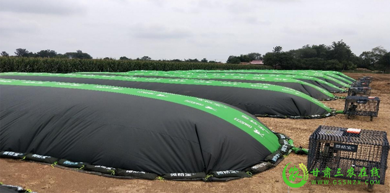 金川区在经济和粮食作物上推广三种粪肥还田运行服务模式