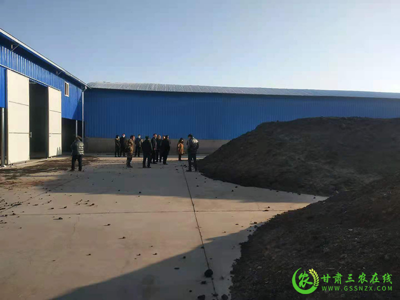 金川区因地制宜探索有效模式加快推进绿色种养循环农业试点项目