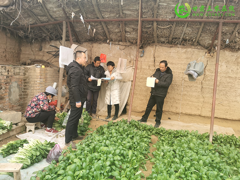 合水县加强节前农产品质量安全监管 ​确保节日农产品质量安全