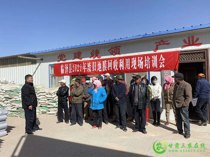 临泽县持续推进废旧地膜回收工作