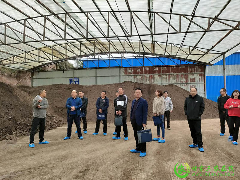 庄浪县实现县域内粪污基本还田 推动化肥使用零增长