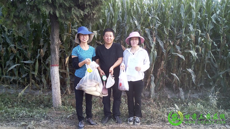 西峰区开展农产品产地土壤环境例行监测保障“舌尖安全”