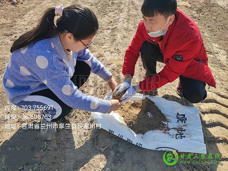 兰州新区持续开展耕地质量监测工作