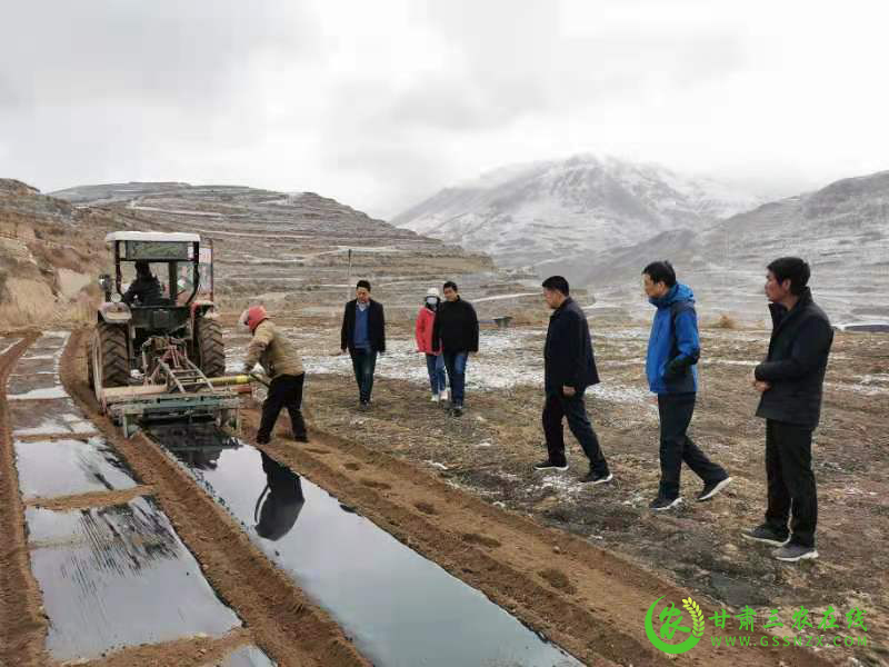 省经作站多举并行加强技术服务培训推进经作产业提质增效