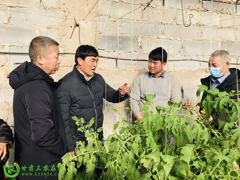 酒泉市科技特派员赴玉门市开展戈壁日光温室轻简自控技术指导