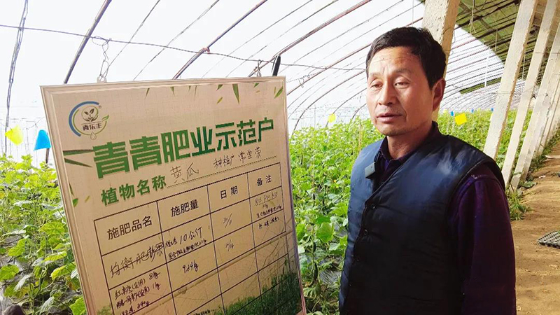 景泰：有机肥助力绿色农业大发展
