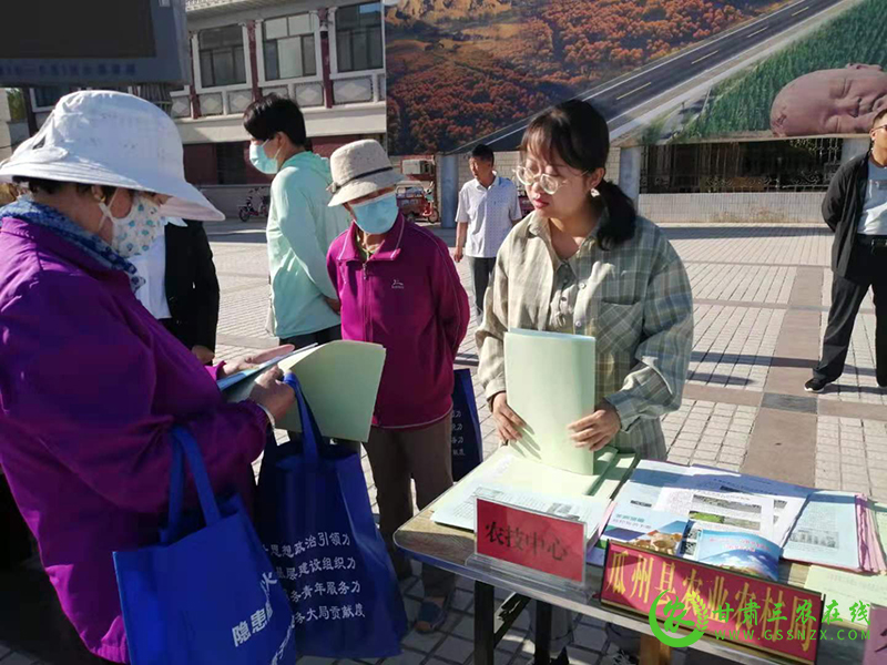 瓜州县农技中心全面加强植物检疫  防治有害生物传播蔓延