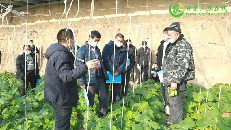瓜州：农技培训助力乡村振兴