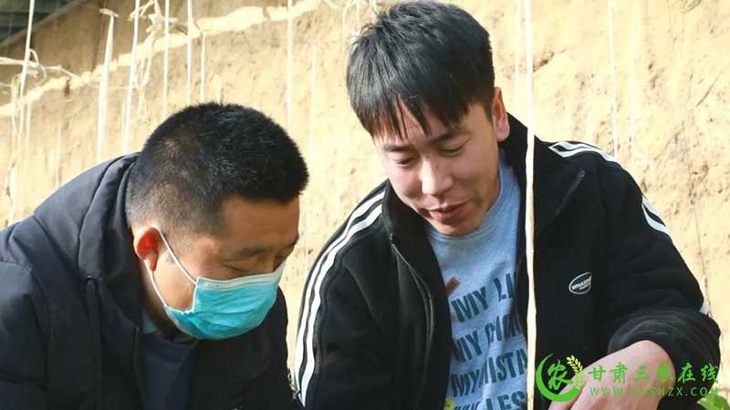 瓜州：农技培训助力乡村振兴