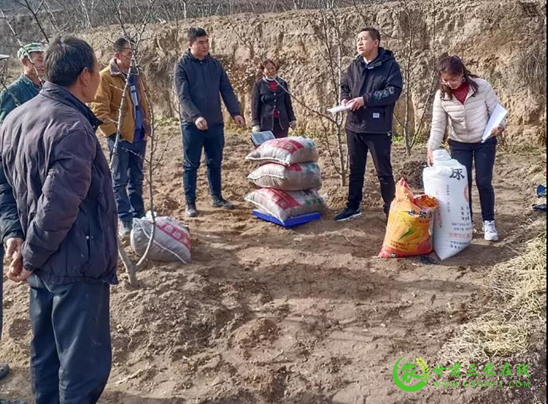 武都区推动农业绿色高质量发展取得初步成效