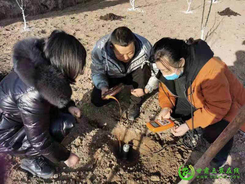 武都区推动农业绿色高质量发展取得初步成效