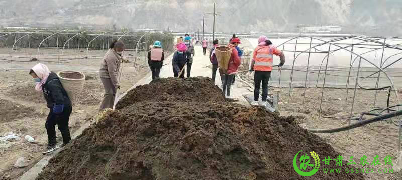 武都区推动农业绿色高质量发展取得初步成效