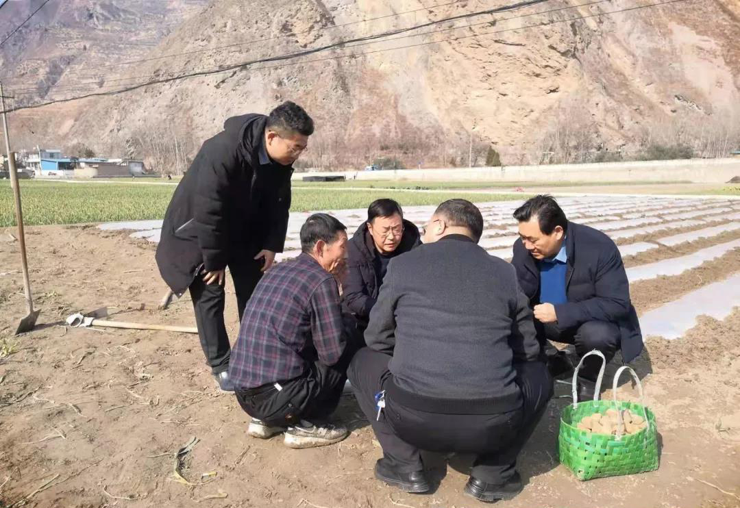 武都区农技下乡助春耕 乡村振兴添动力