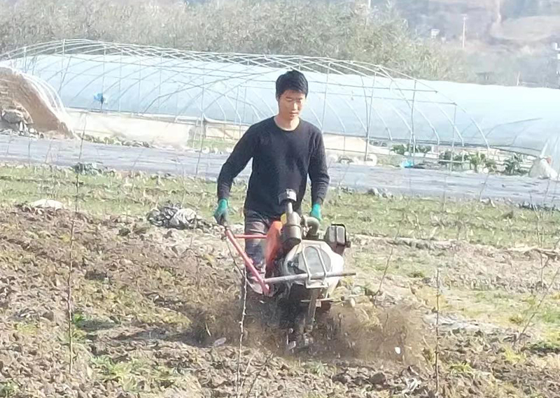 武都区农技下乡助春耕 乡村振兴添动力