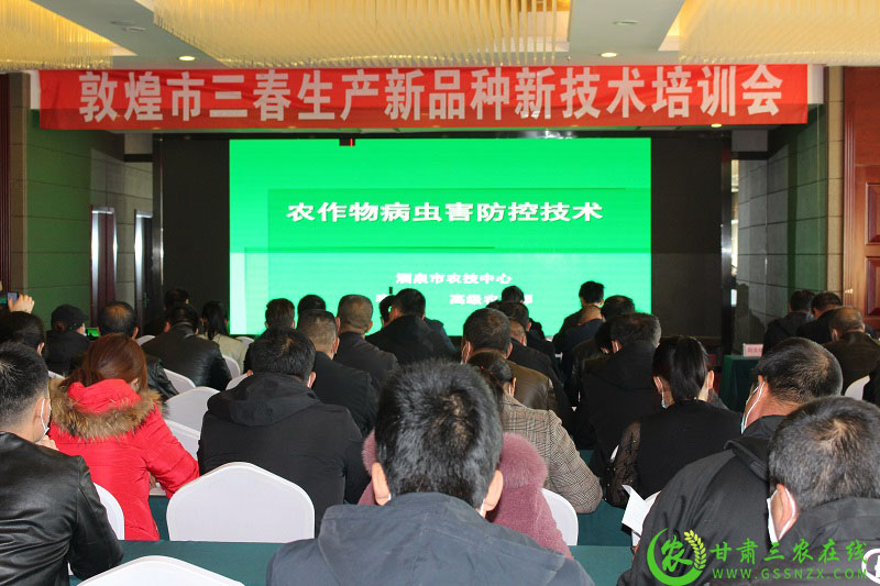 敦煌市农技中心：科技培训抓落实 乡村振兴赋新能
