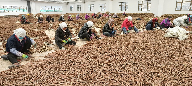 深圳定义考察团赴宕昌考察中药材产业
