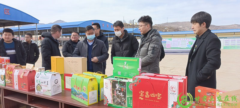 深圳定义考察团赴宕昌考察中药材产业