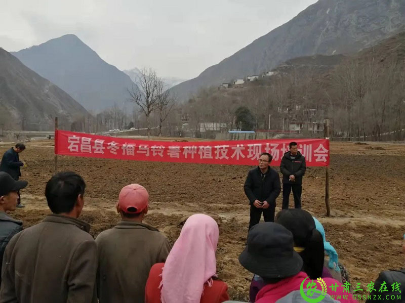 奋进新征程 建功新时代——宕昌:千亩地膜冬播早熟马铃薯开播啦!