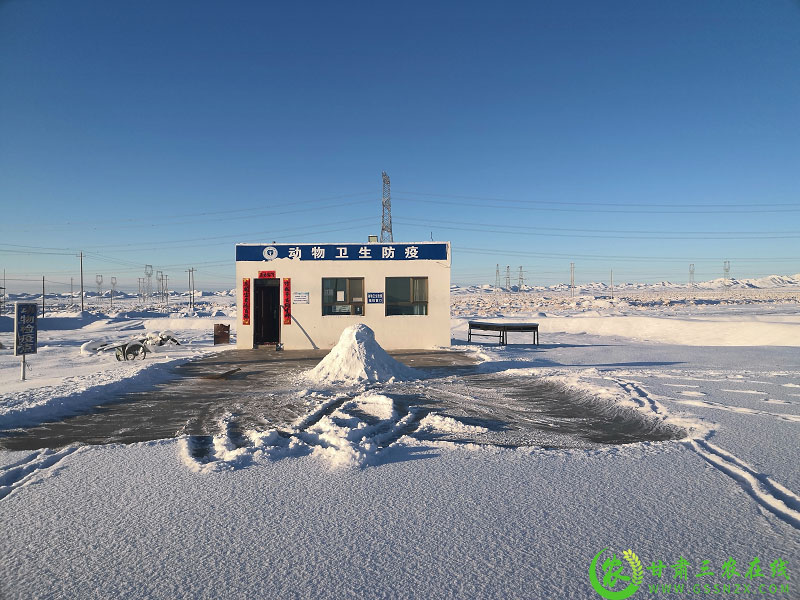 柳园动检站“见雪而动，迅速行动”确保运输通道畅通