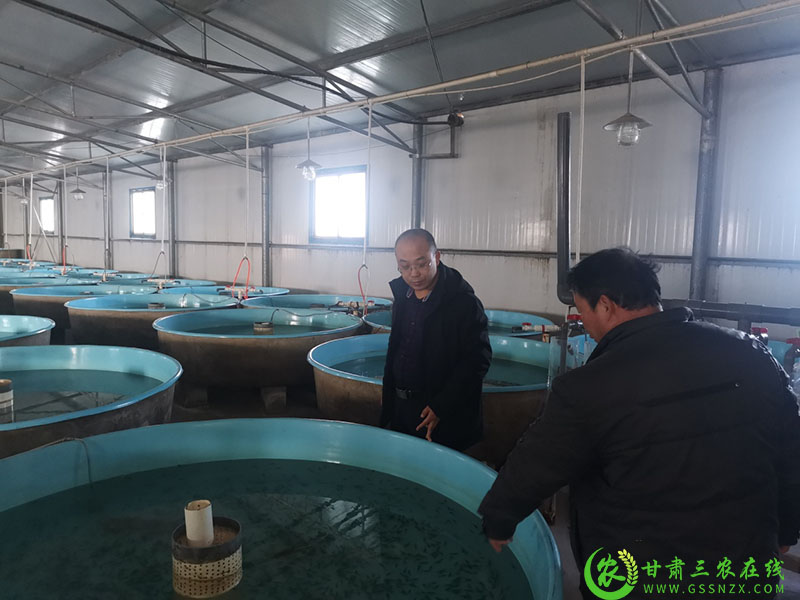 酒泉：加强安全生产监管 确保渔业健康发展