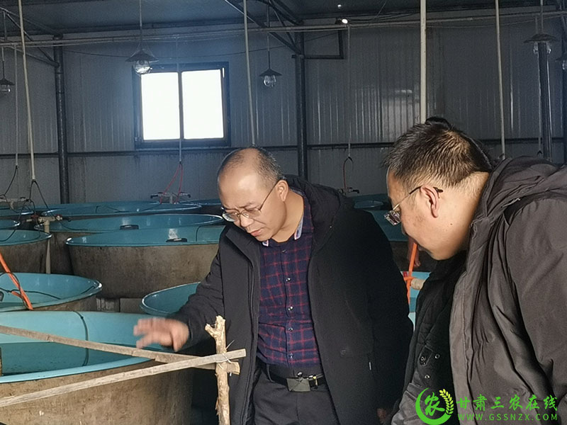 酒泉：加强安全生产监管 确保渔业健康发展